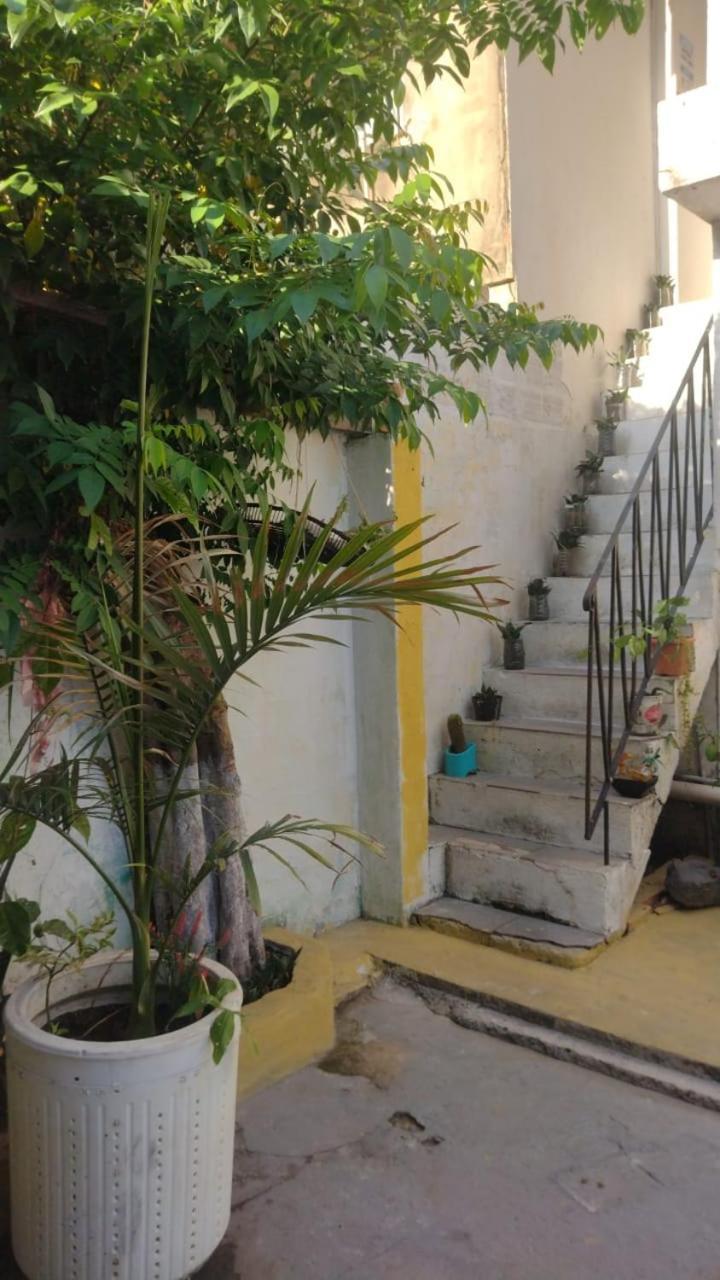 Hostel Residence Girassol Belém Екстериор снимка