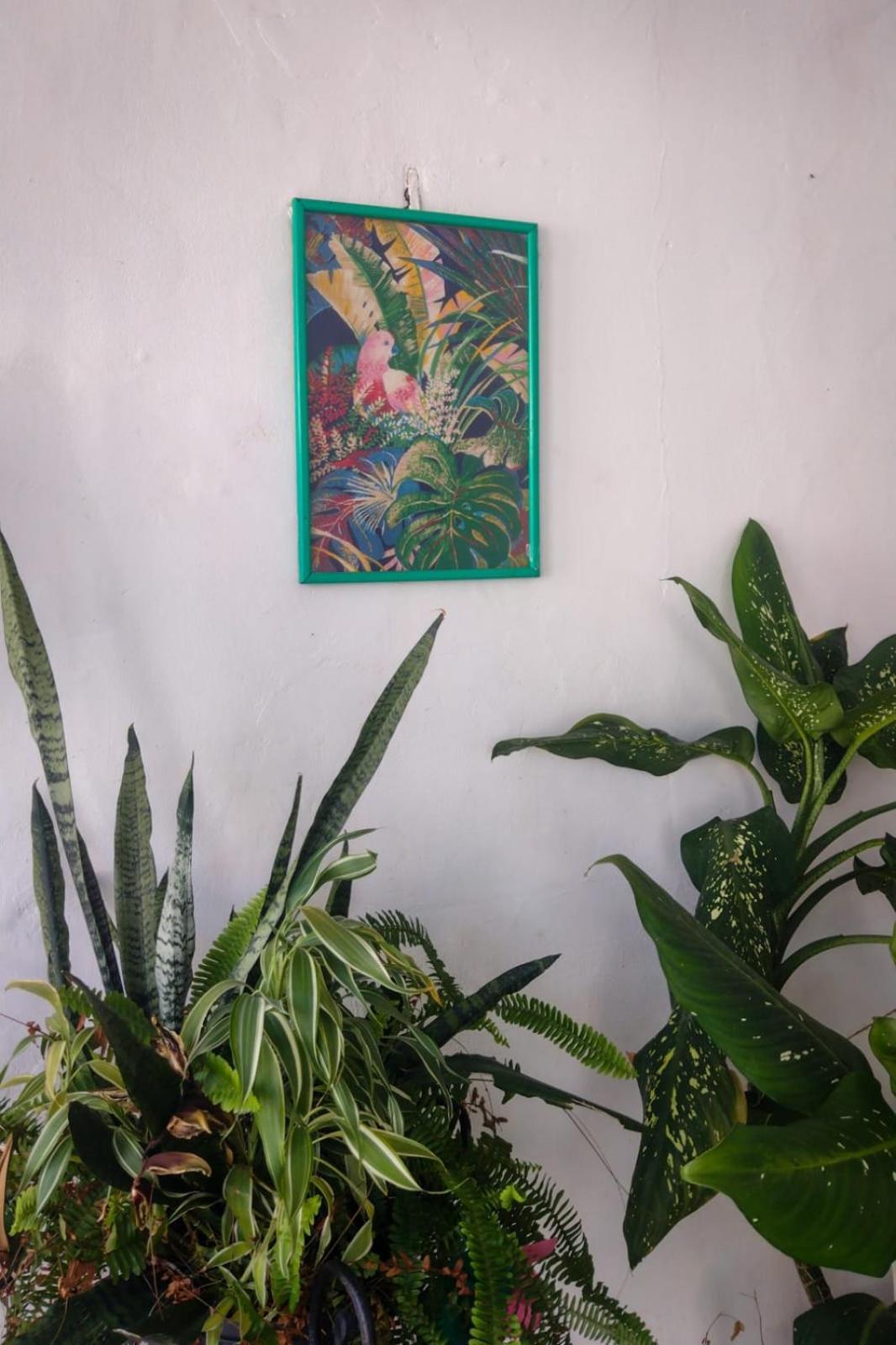 Hostel Residence Girassol Belém Екстериор снимка